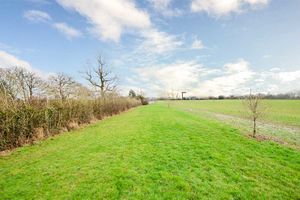 Photo 33- click for photo gallery